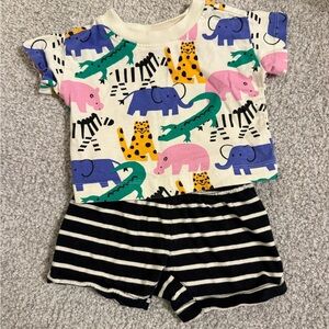 Hanna Andersson Multicolor Animal Print Pajama Set